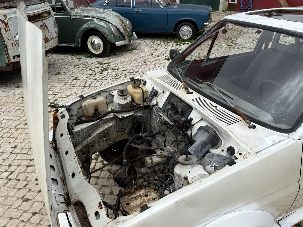 IMG_8542 – grande.jpeg