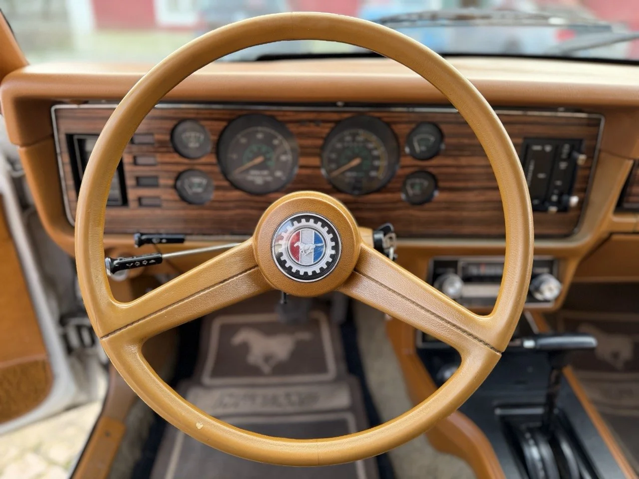 IMG_4169 – grande.jpeg