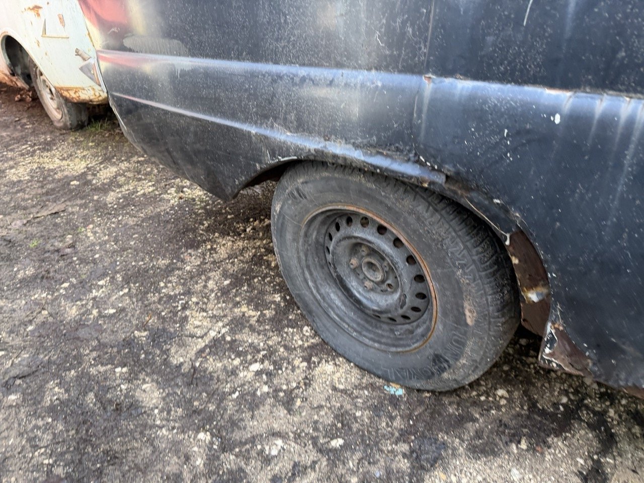 IMG_5249 – grande.jpeg