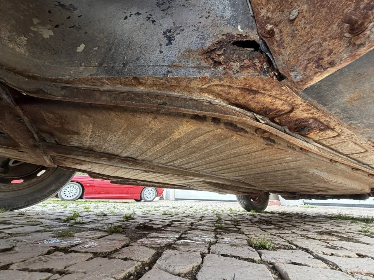 IMG_8685 – grande.jpeg