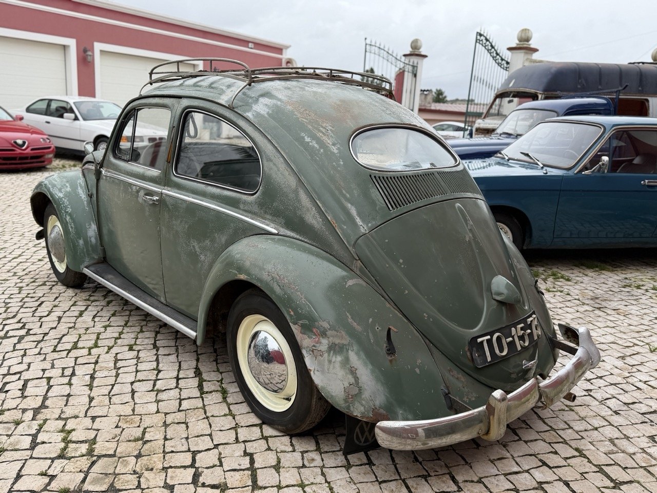 IMG_1100 – grande.jpeg