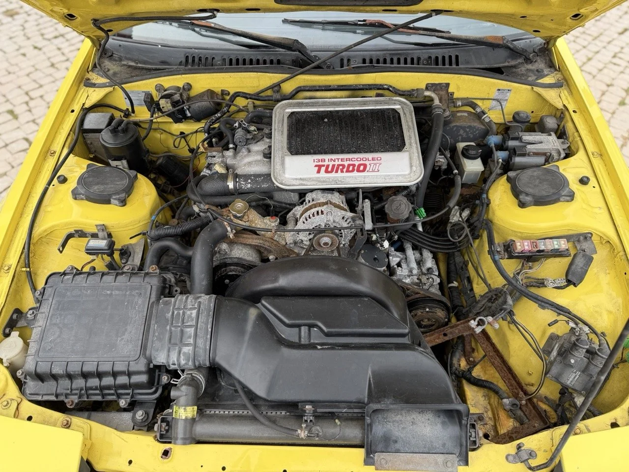 IMG_9743 – grande.jpeg