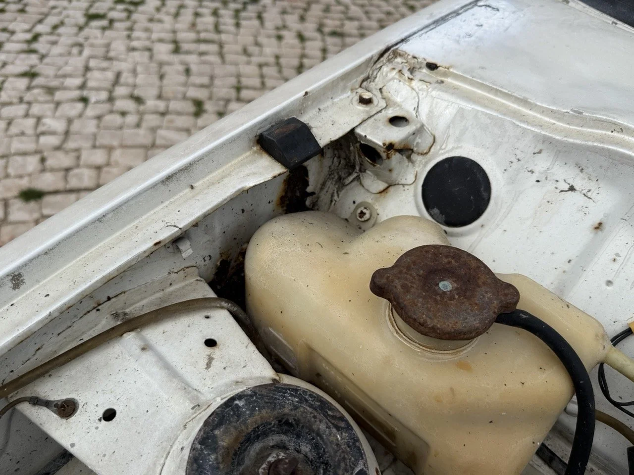 IMG_8565 – grande.jpeg