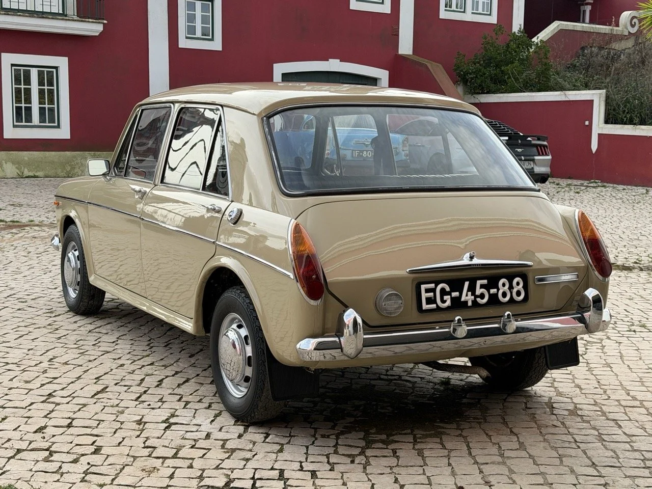 IMG_4014 – grande.jpeg