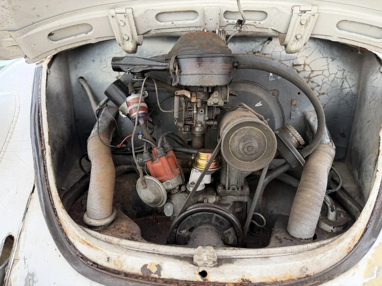 IMG_8641 – grande.jpeg