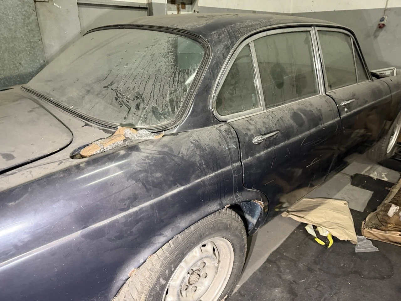 IMG_4240 – grande.jpeg