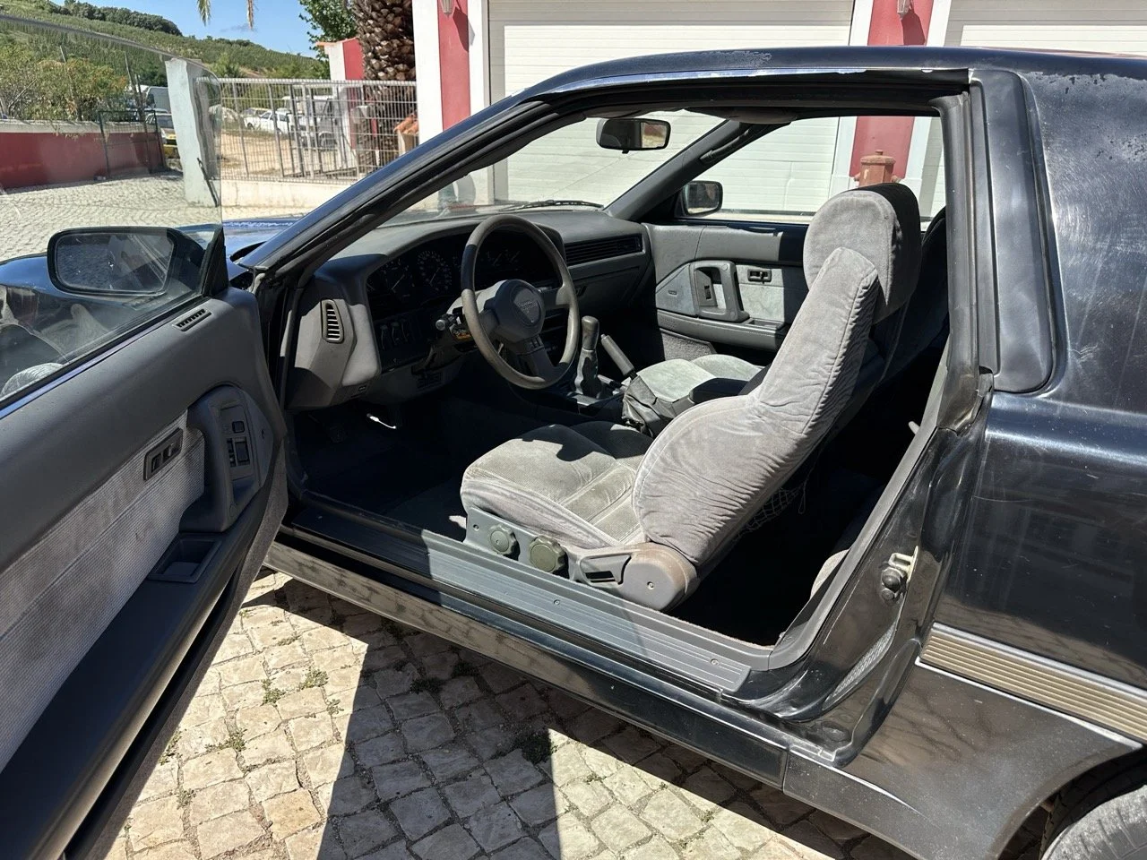 IMG_3047 – grande.jpeg