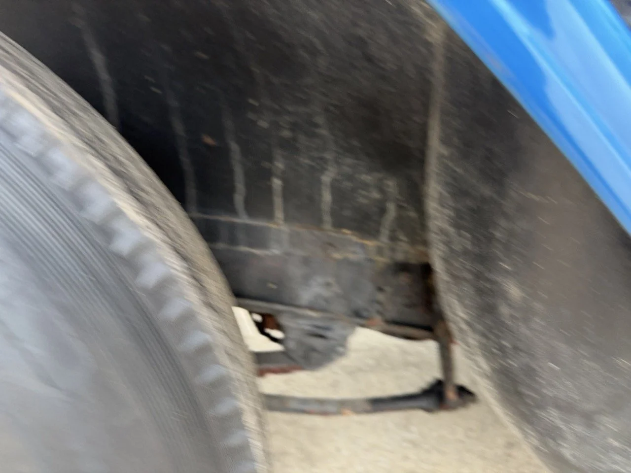 IMG_1572 – grande.jpeg