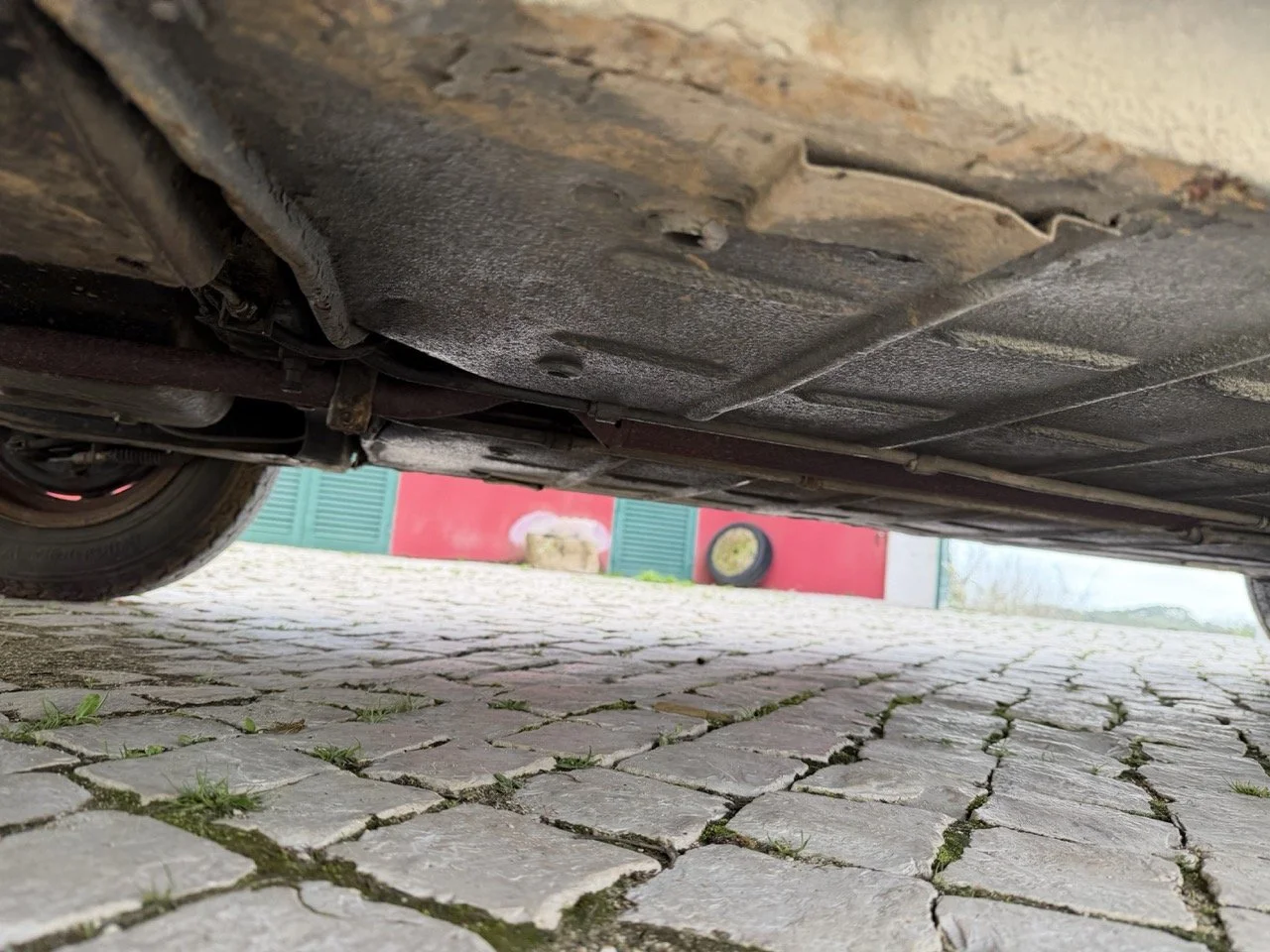 IMG_4115 – grande.jpeg