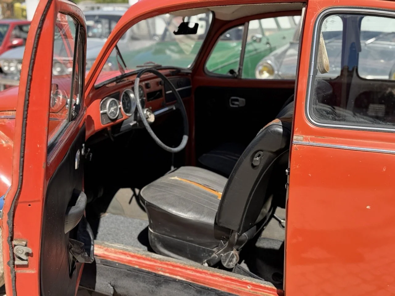 IMG_7518 – grande.jpeg