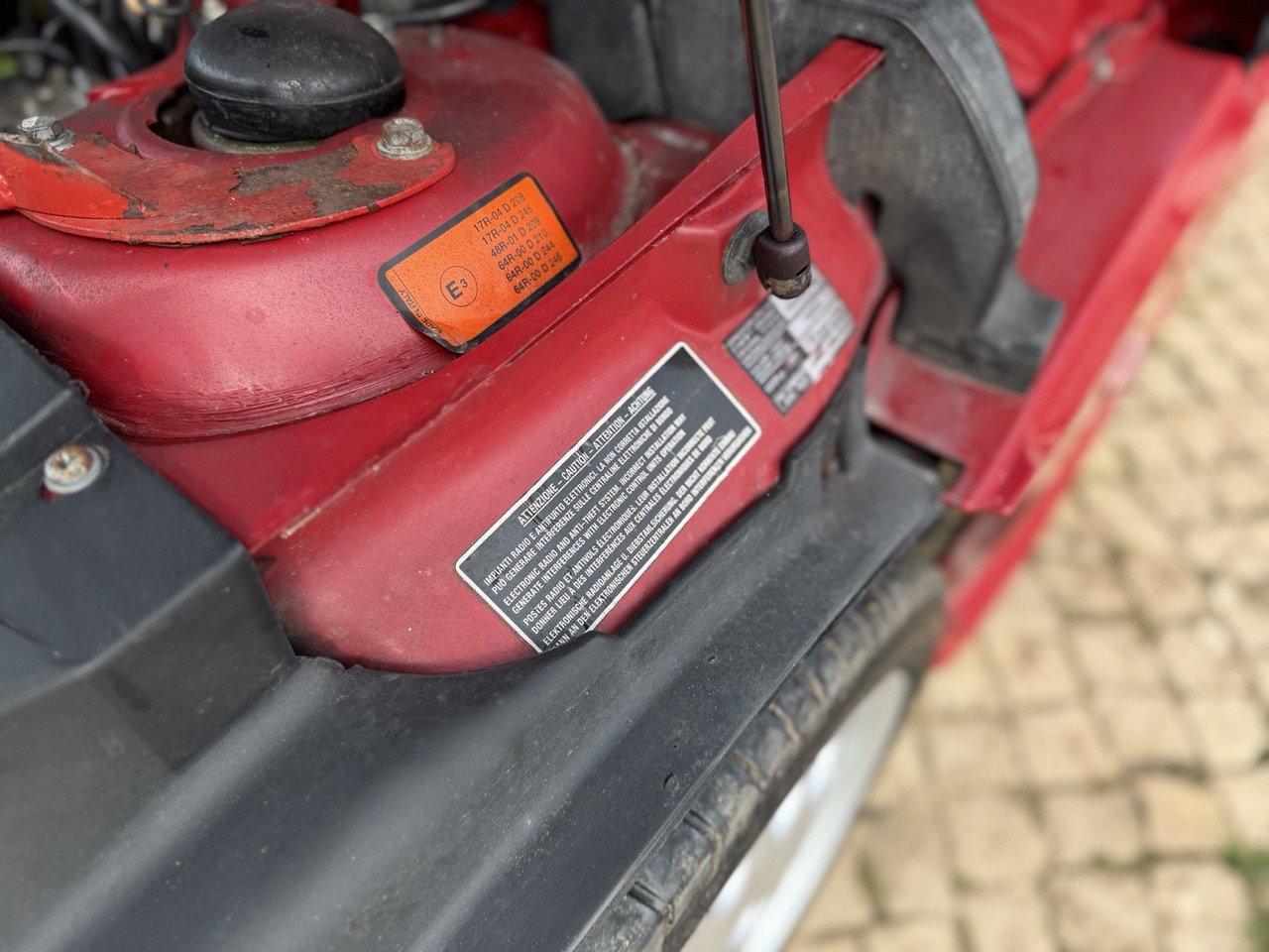 IMG_2281 – grande.jpeg