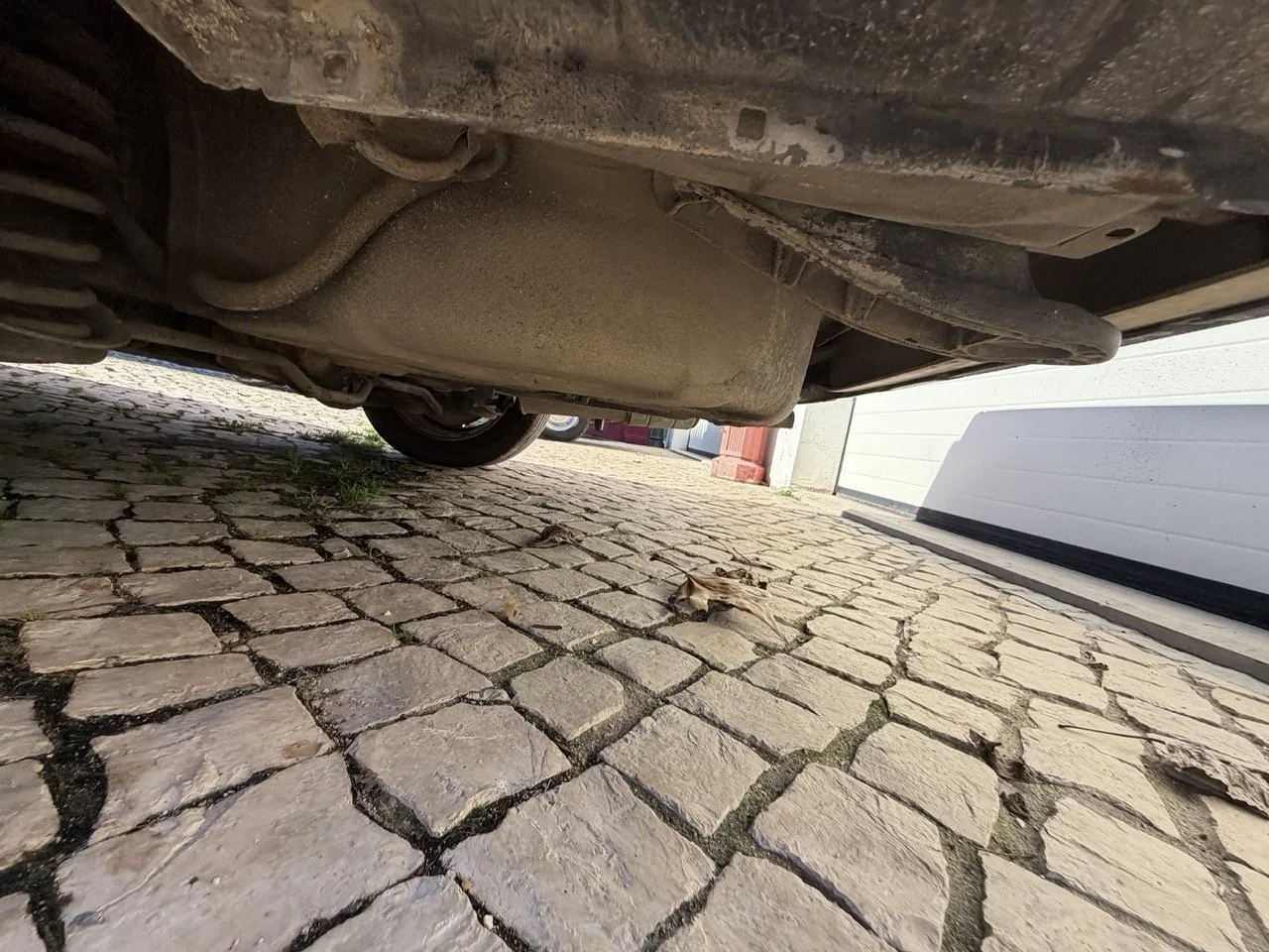 IMG_2049 – grande.jpeg