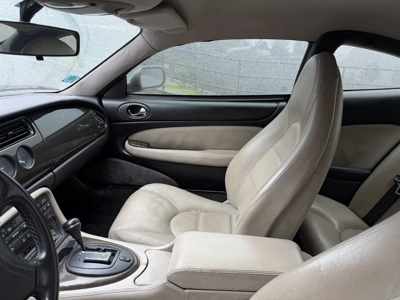 IMG_3615 – grande.jpeg