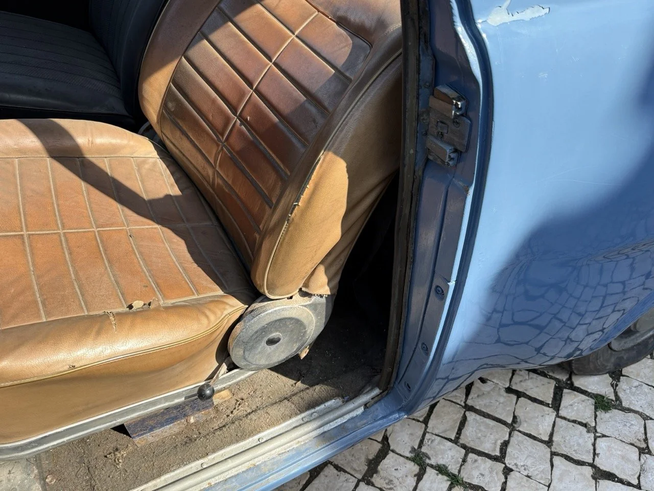 IMG_3556 – grande.jpeg