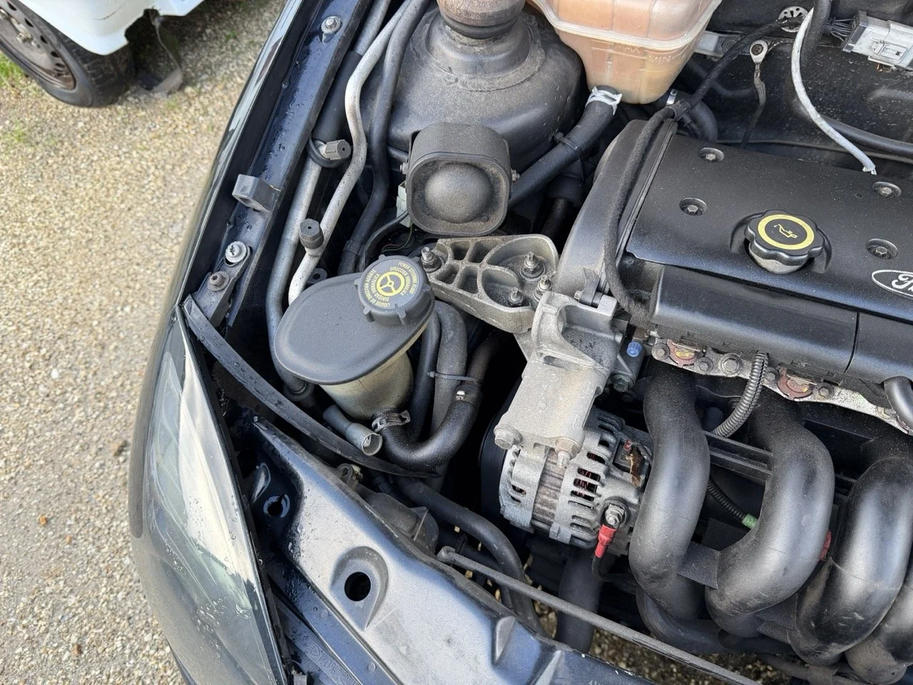 IMG_5316 – grande.jpeg