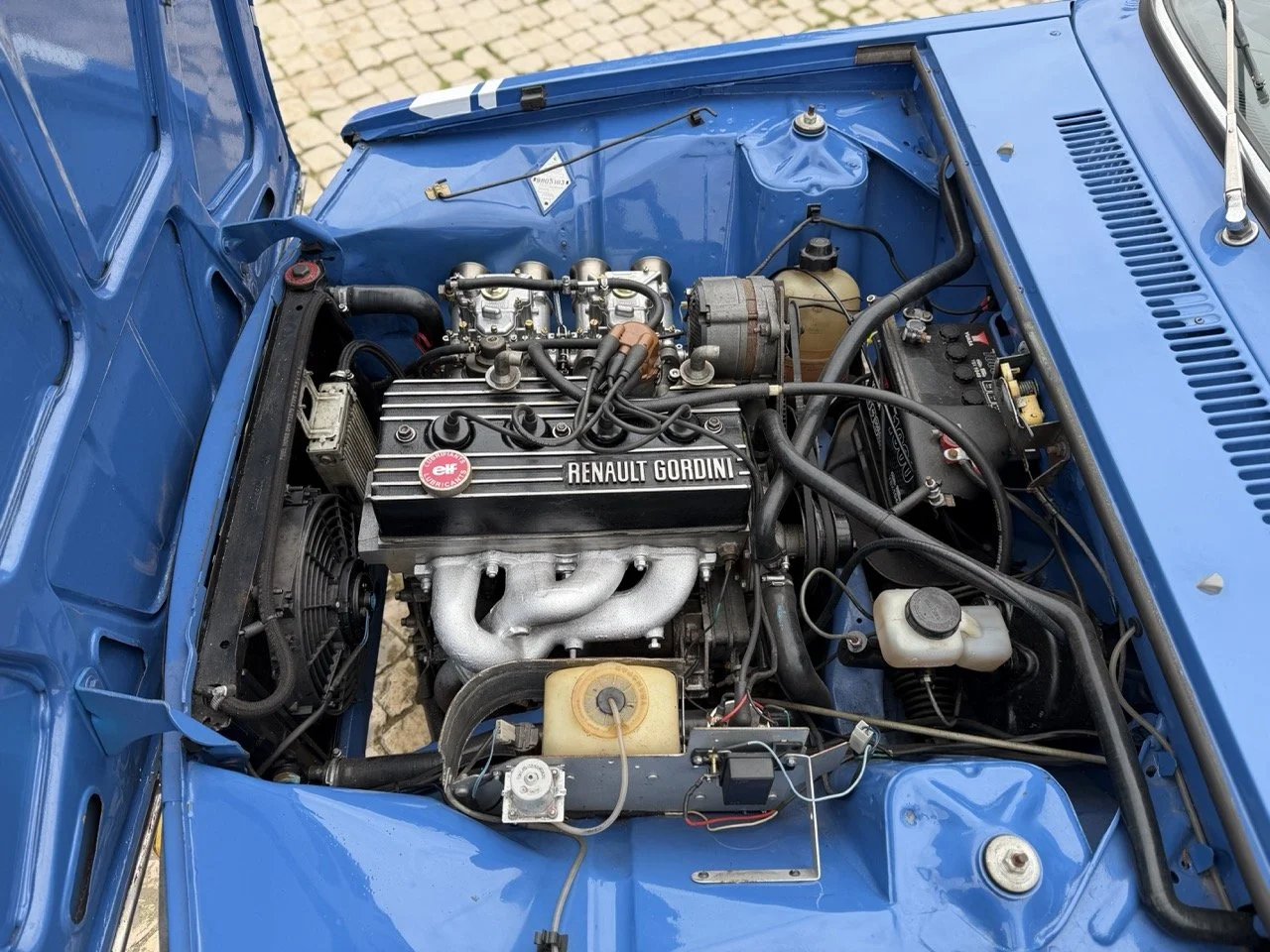 IMG_6001 – grande.jpeg