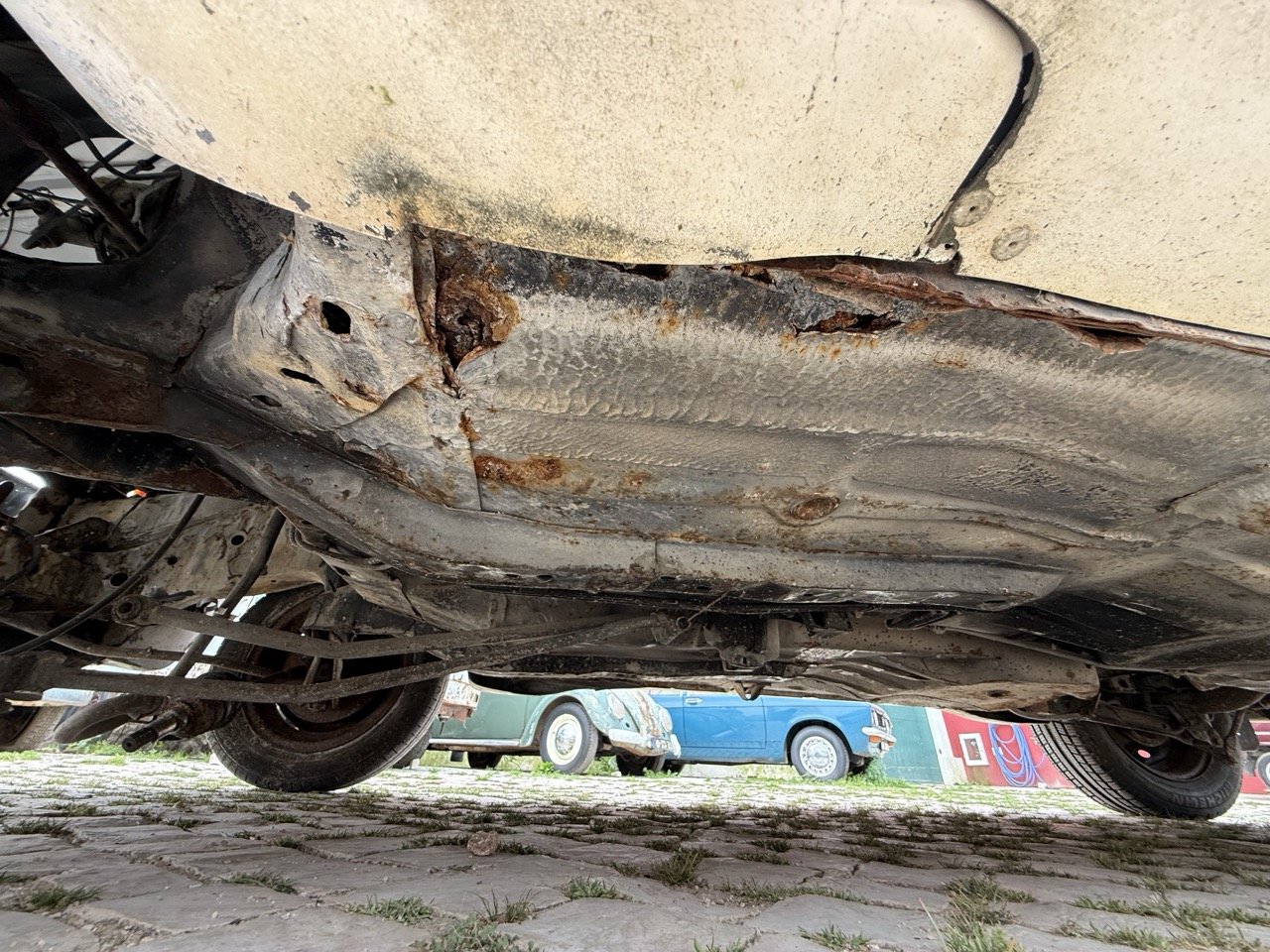 IMG_8627 – grande.jpeg