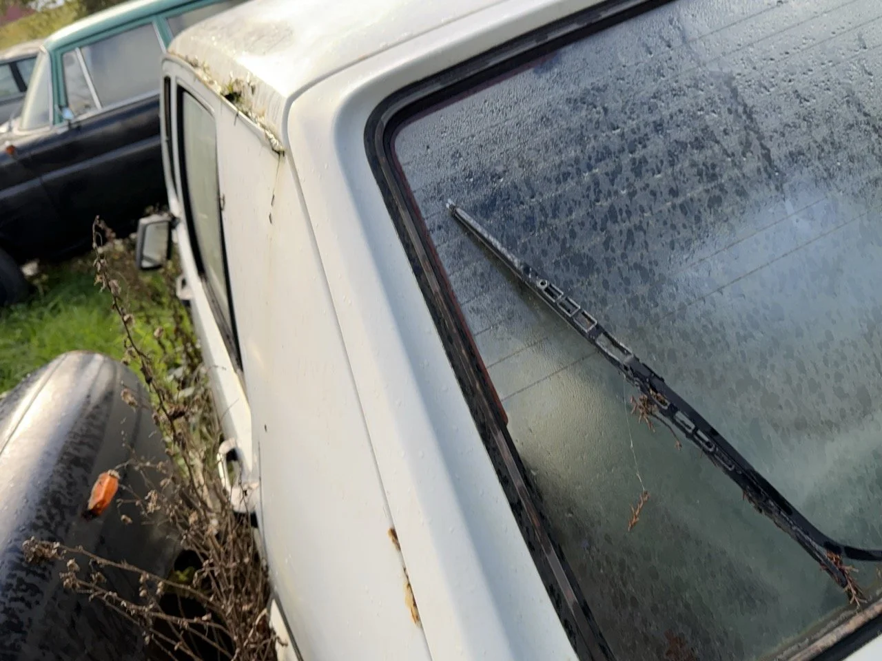 IMG_5197 – grande.jpeg