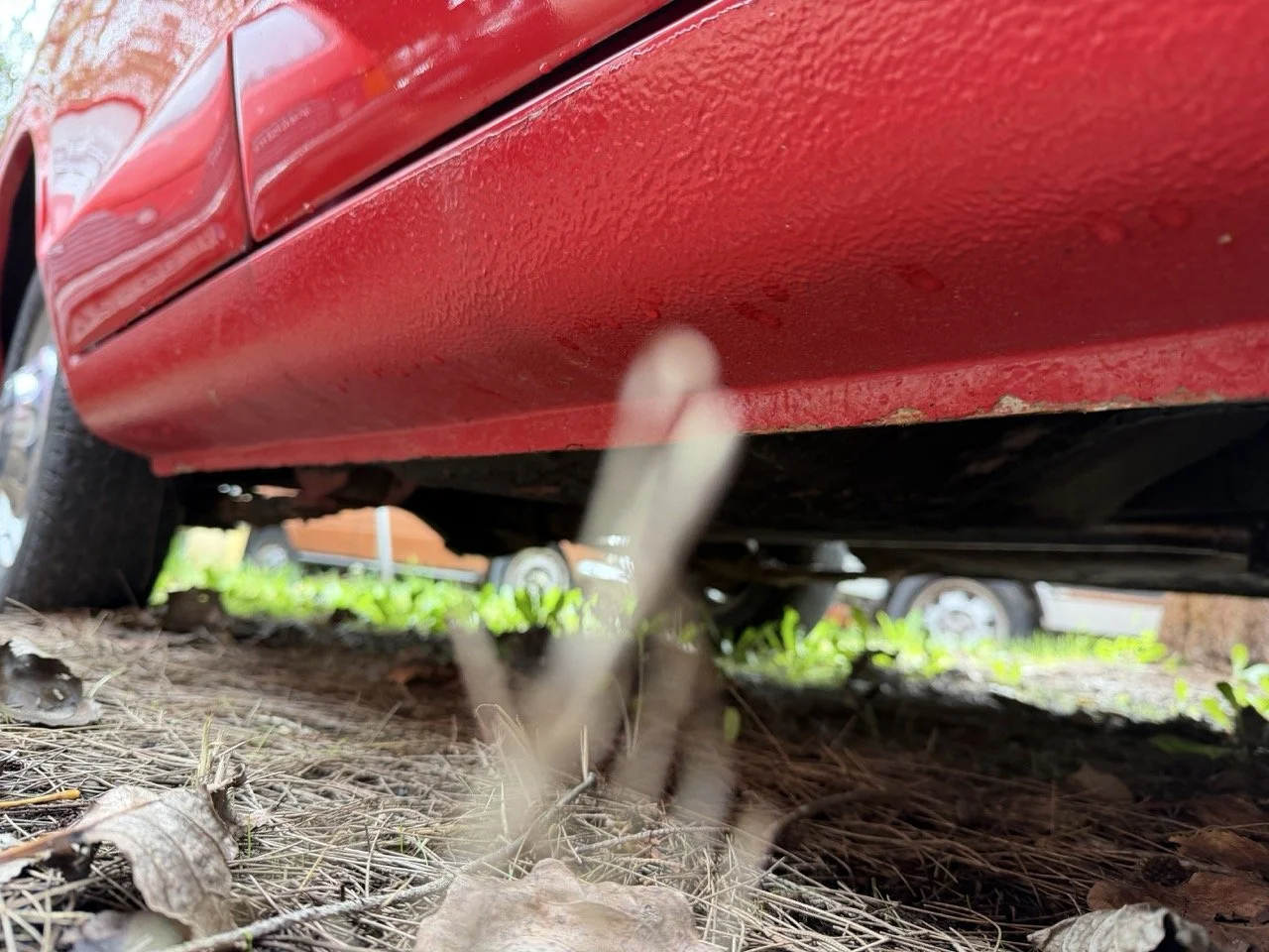 IMG_4945 – grande.jpeg