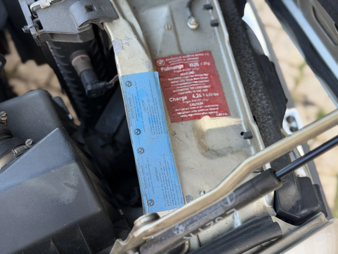 IMG_6977 2 – grande.jpeg