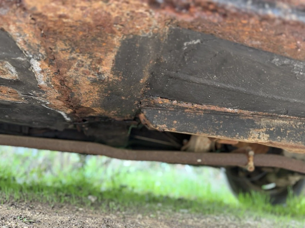 IMG_5029 – grande.jpeg