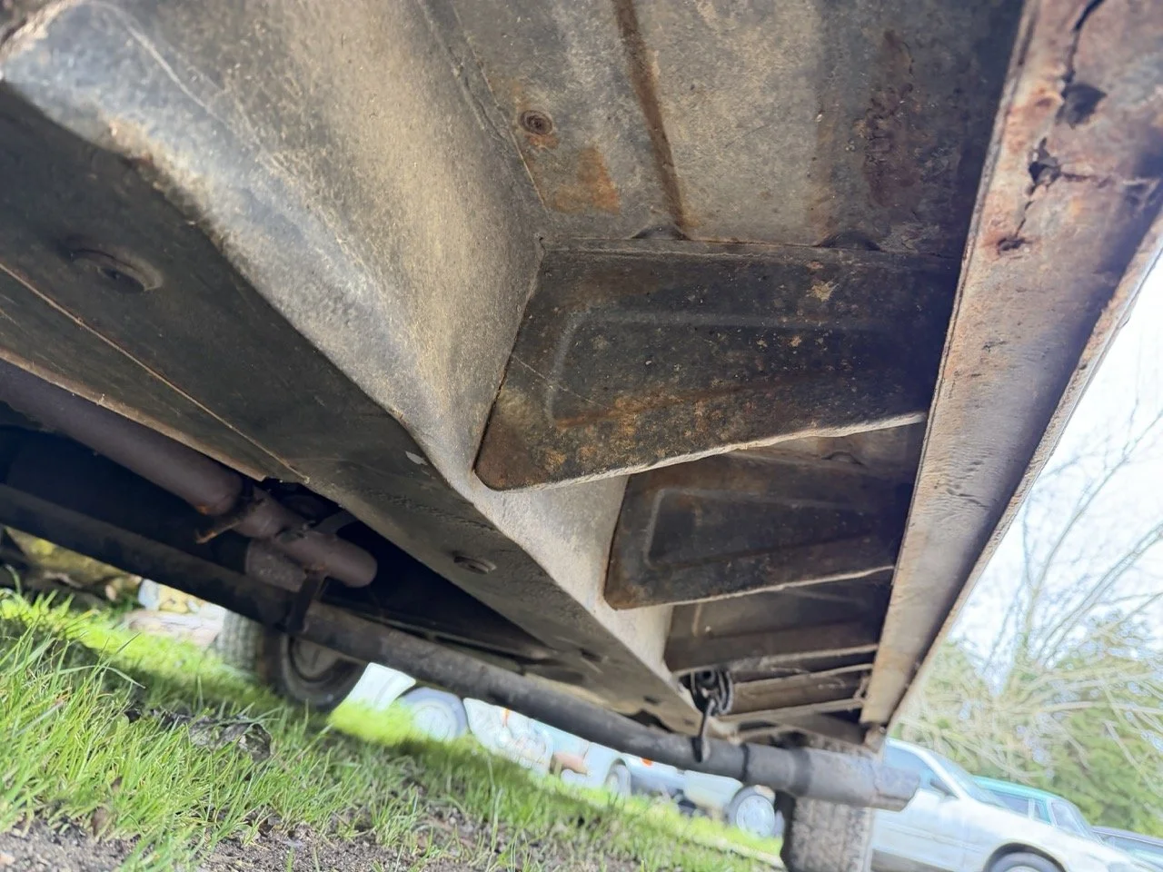 IMG_1354 – grande.jpeg