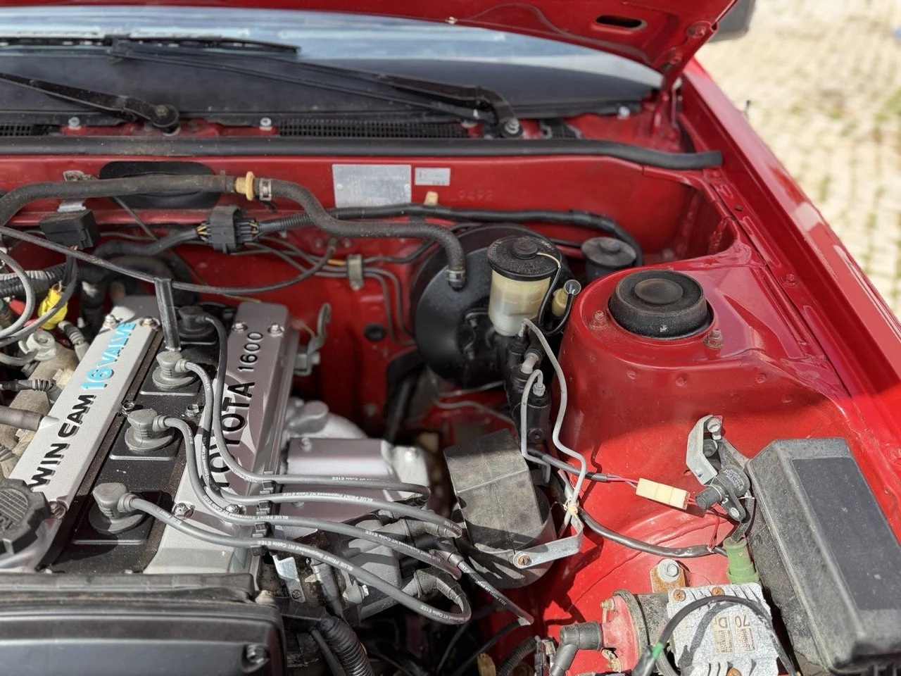 IMG_2349 – grande.jpeg