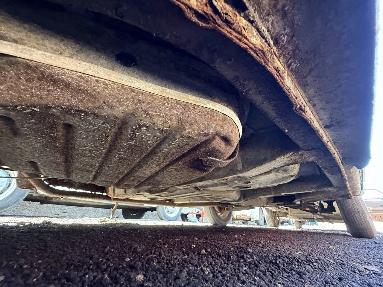 IMG_0894 – grande.jpeg