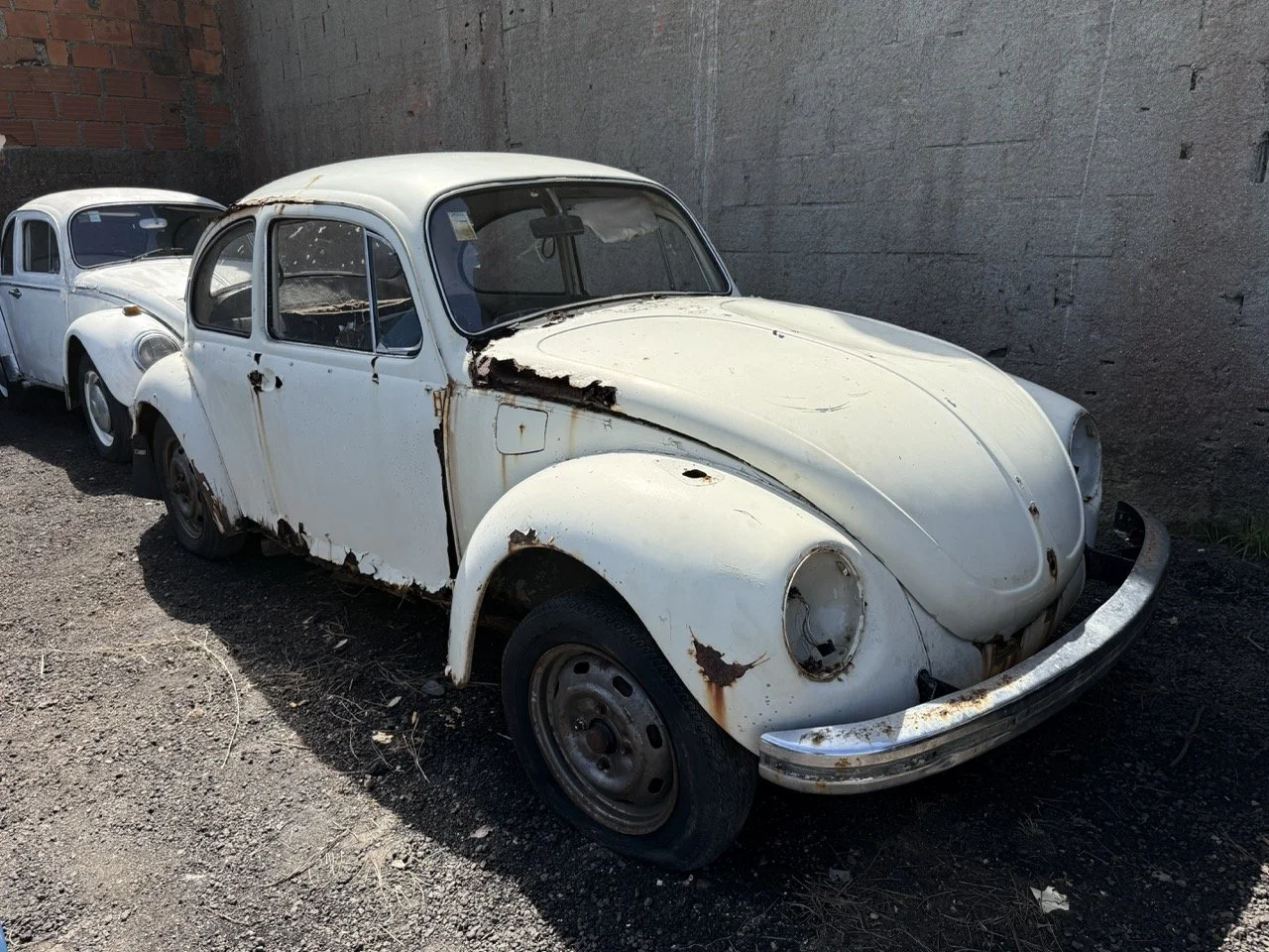 IMG_0631 – grande.jpeg