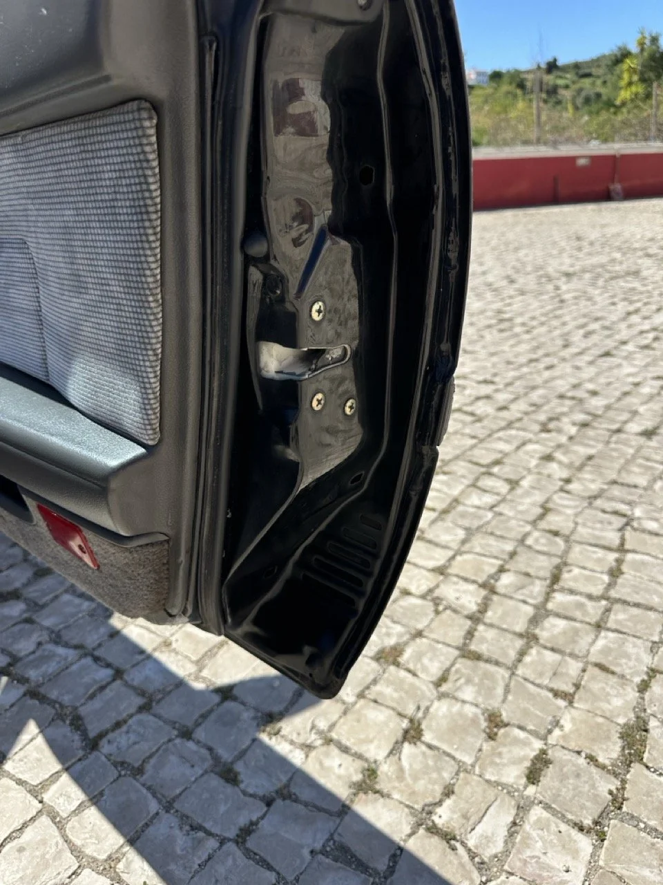 IMG_3102 – grande.jpeg