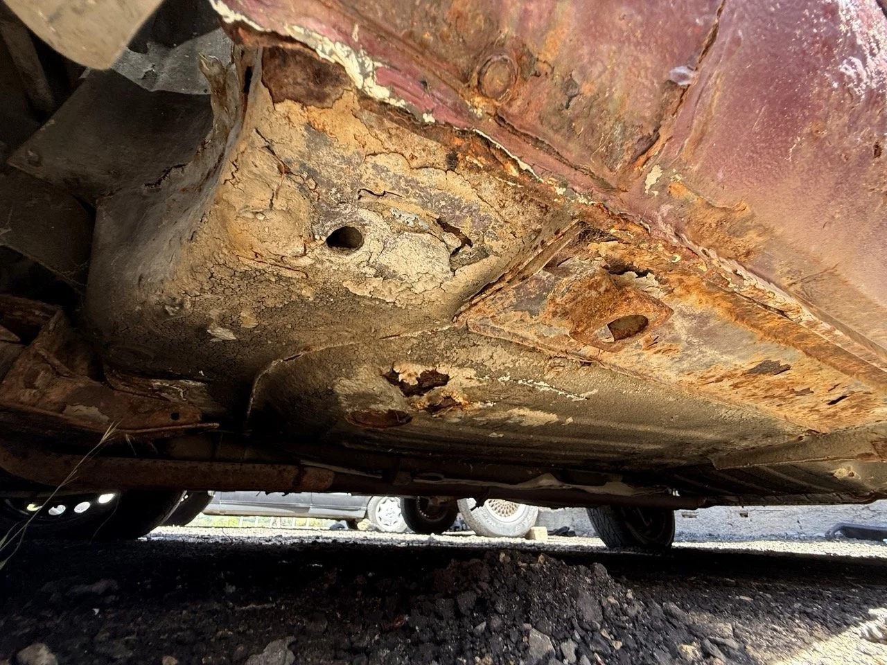 IMG_0961 – grande.jpeg