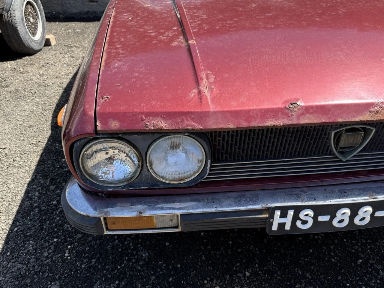 IMG_0959 – grande.jpeg