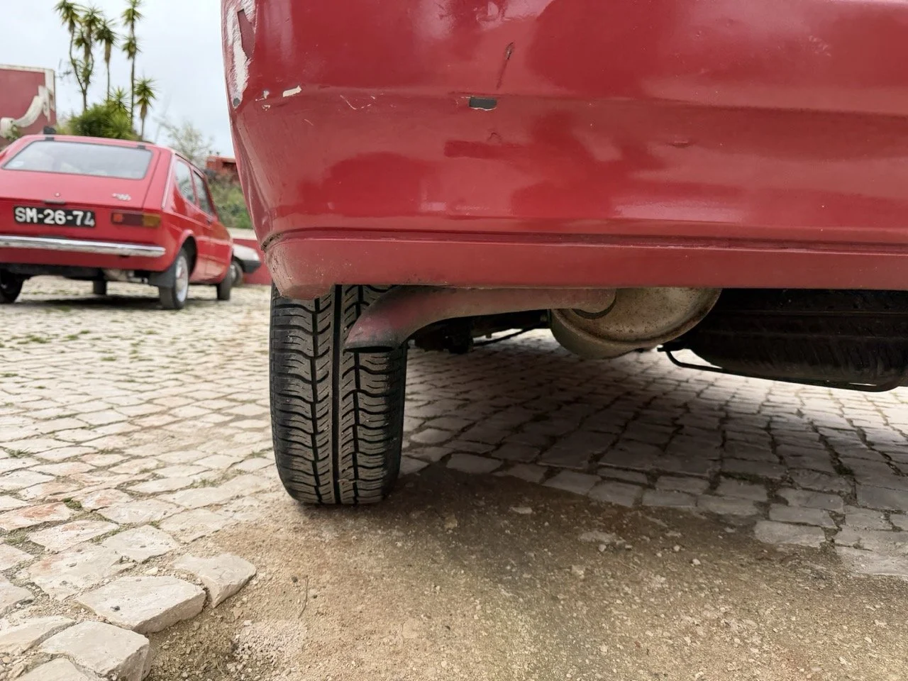 IMG_3623 – grande.jpeg