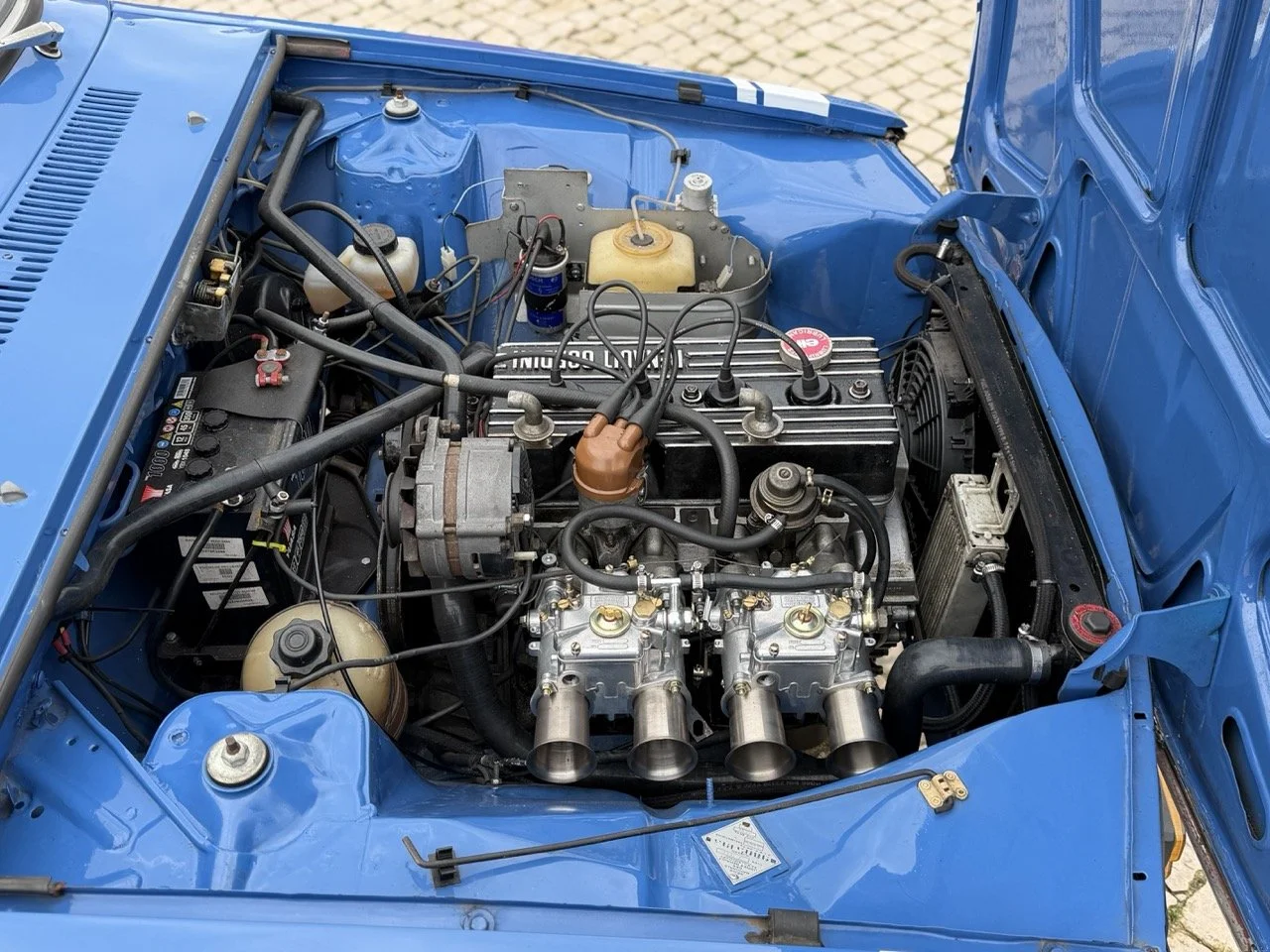 IMG_6012 – grande.jpeg