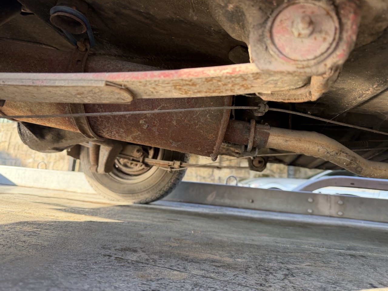 IMG_9073 – grande.jpeg