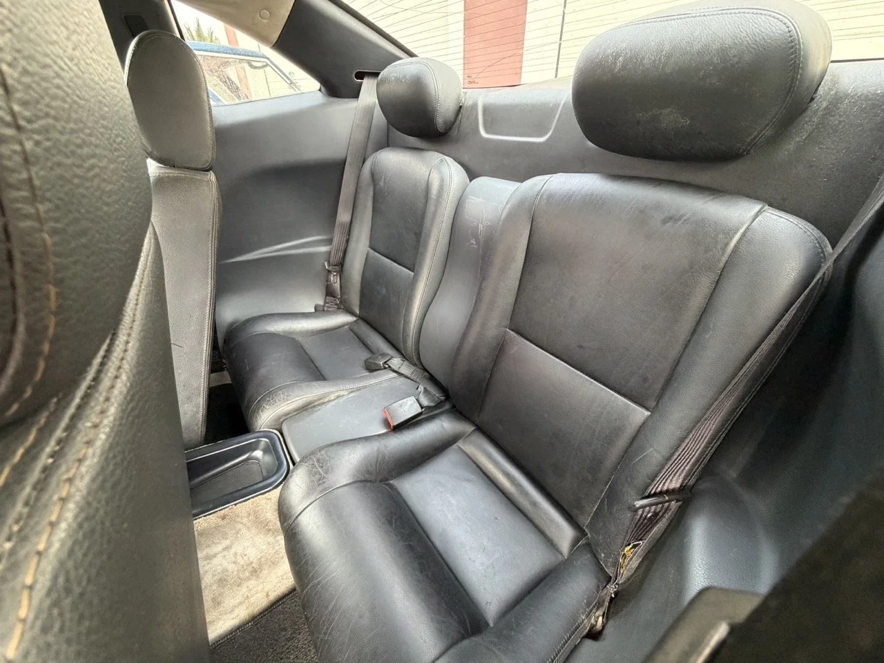 IMG_2238 – grande.jpeg