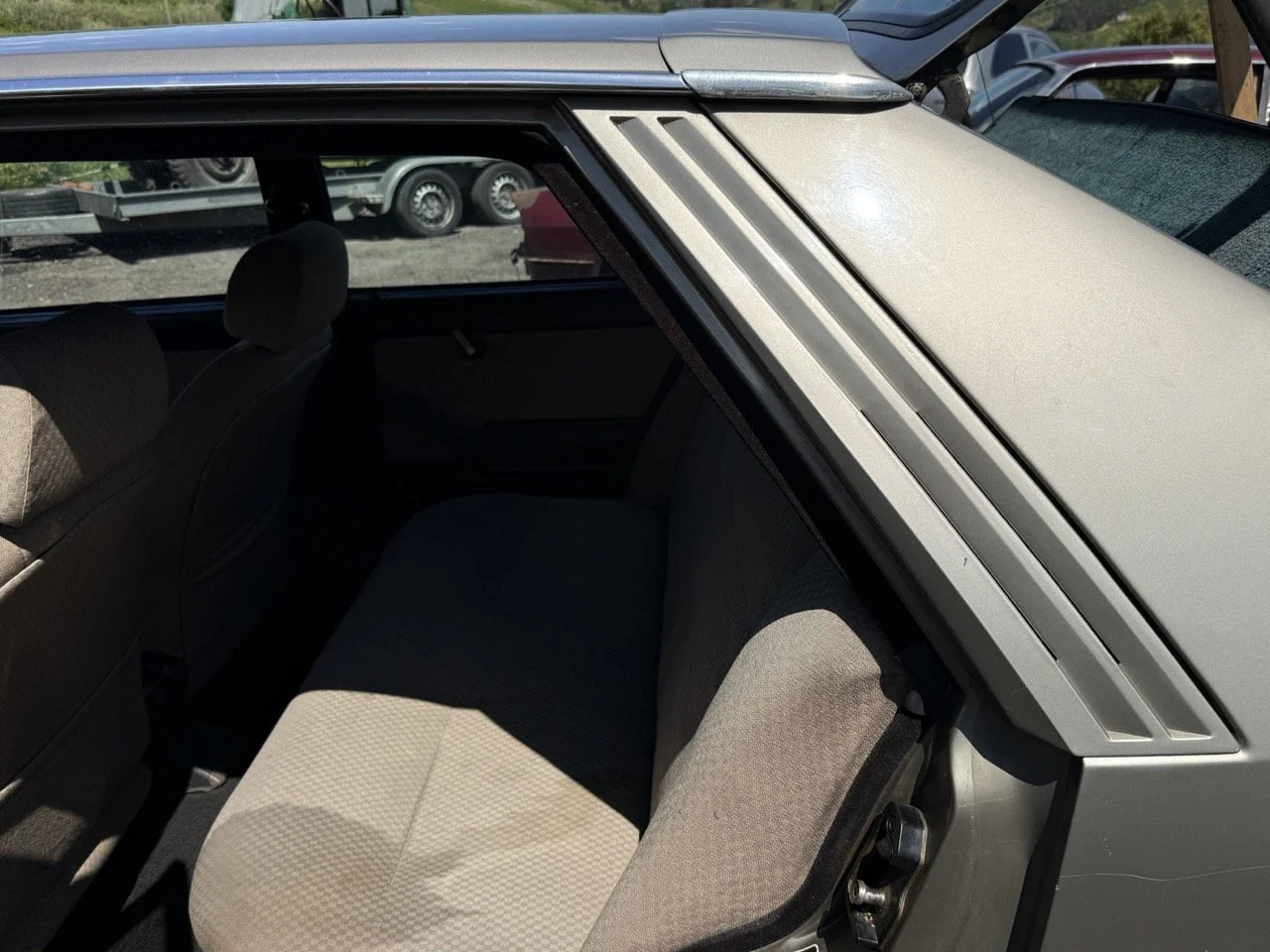 IMG_1921 – grande.jpeg