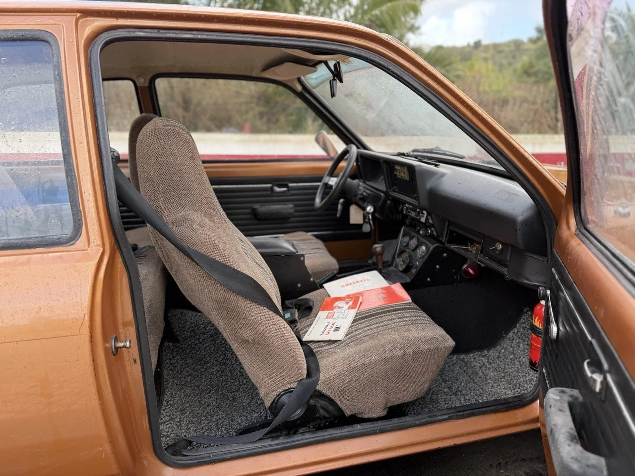 IMG_8726 – grande.jpeg