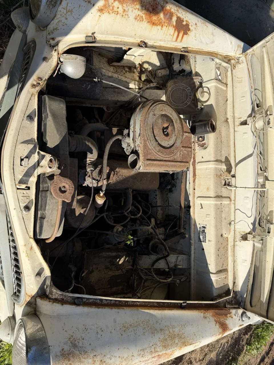 IMG_2540 – grande.jpeg