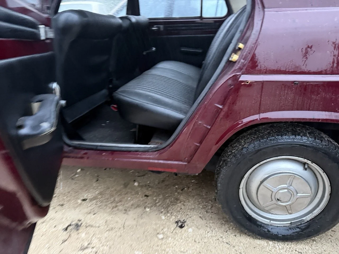 IMG_0281 – grande.jpeg