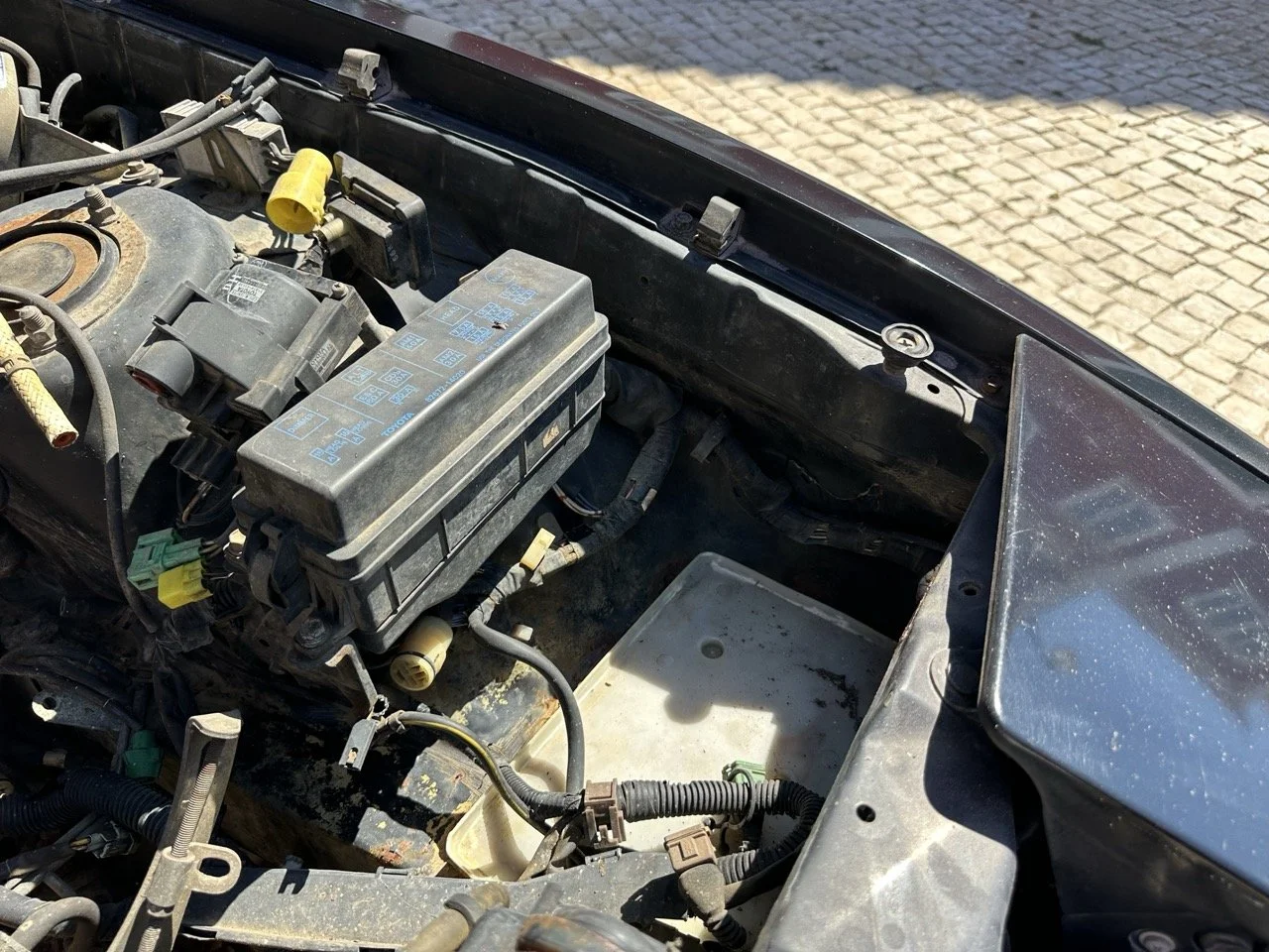 IMG_3076 – grande.jpeg