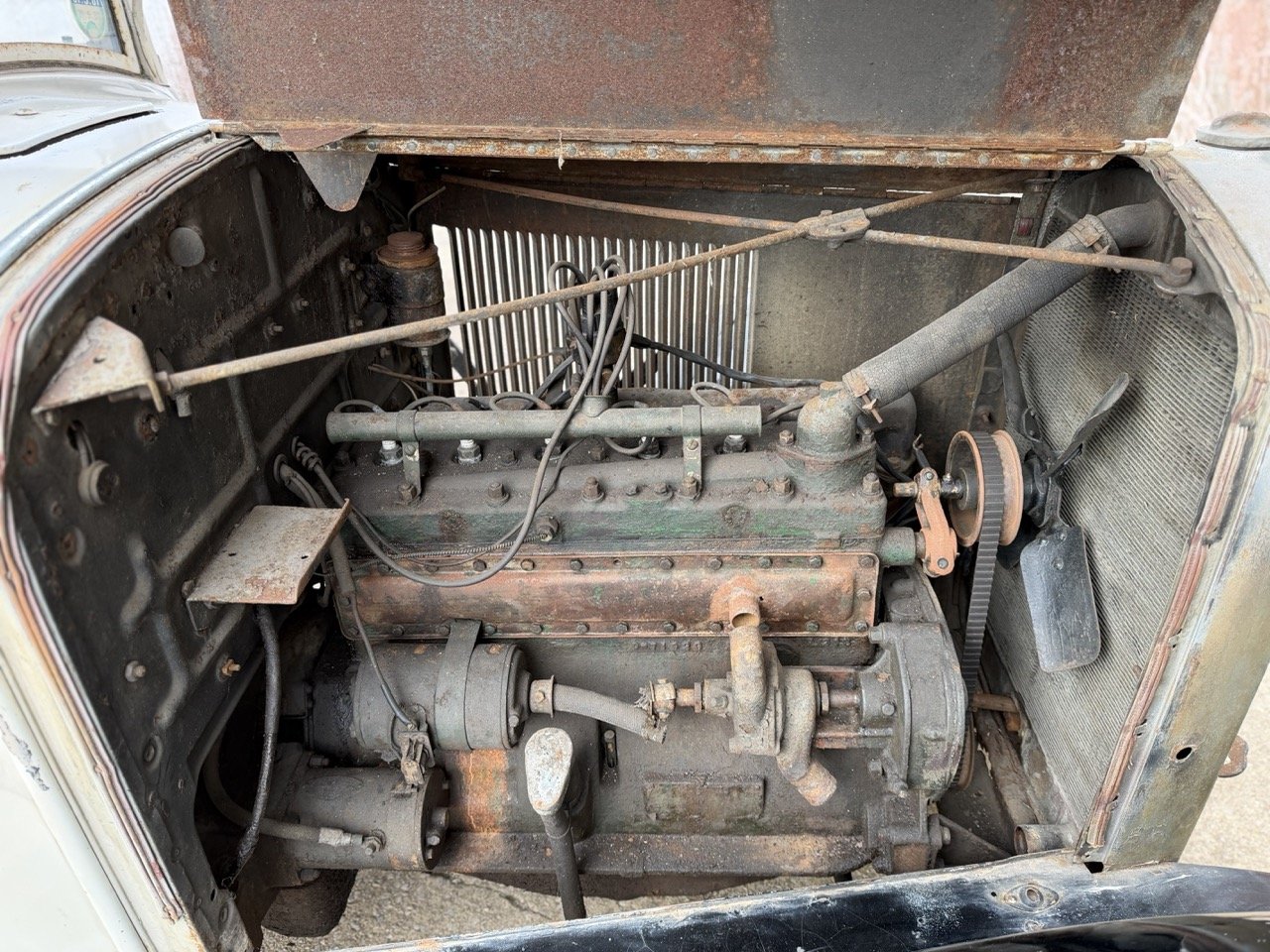 IMG_1693 – grande.jpeg