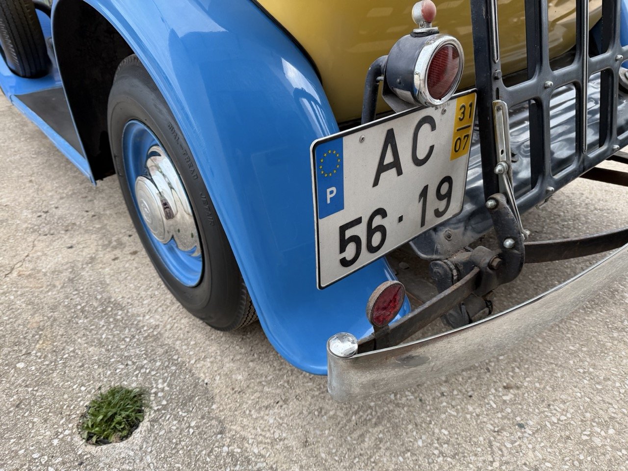 IMG_1556 – grande.jpeg