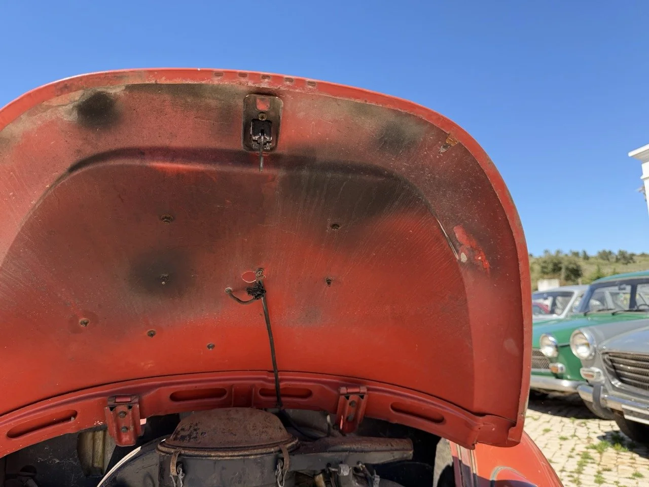 IMG_7554 – grande.jpeg