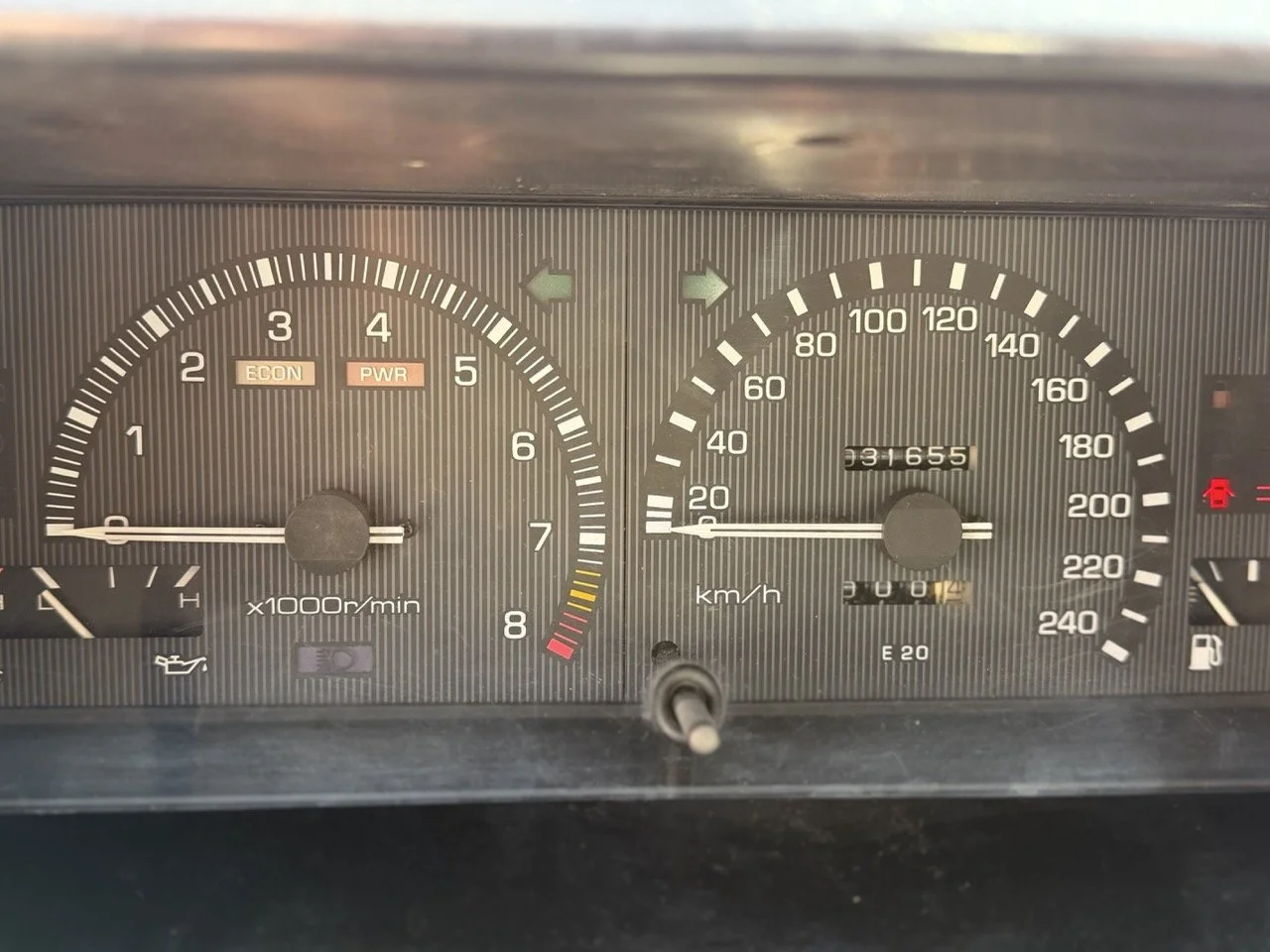 IMG_2308 – grande.jpeg