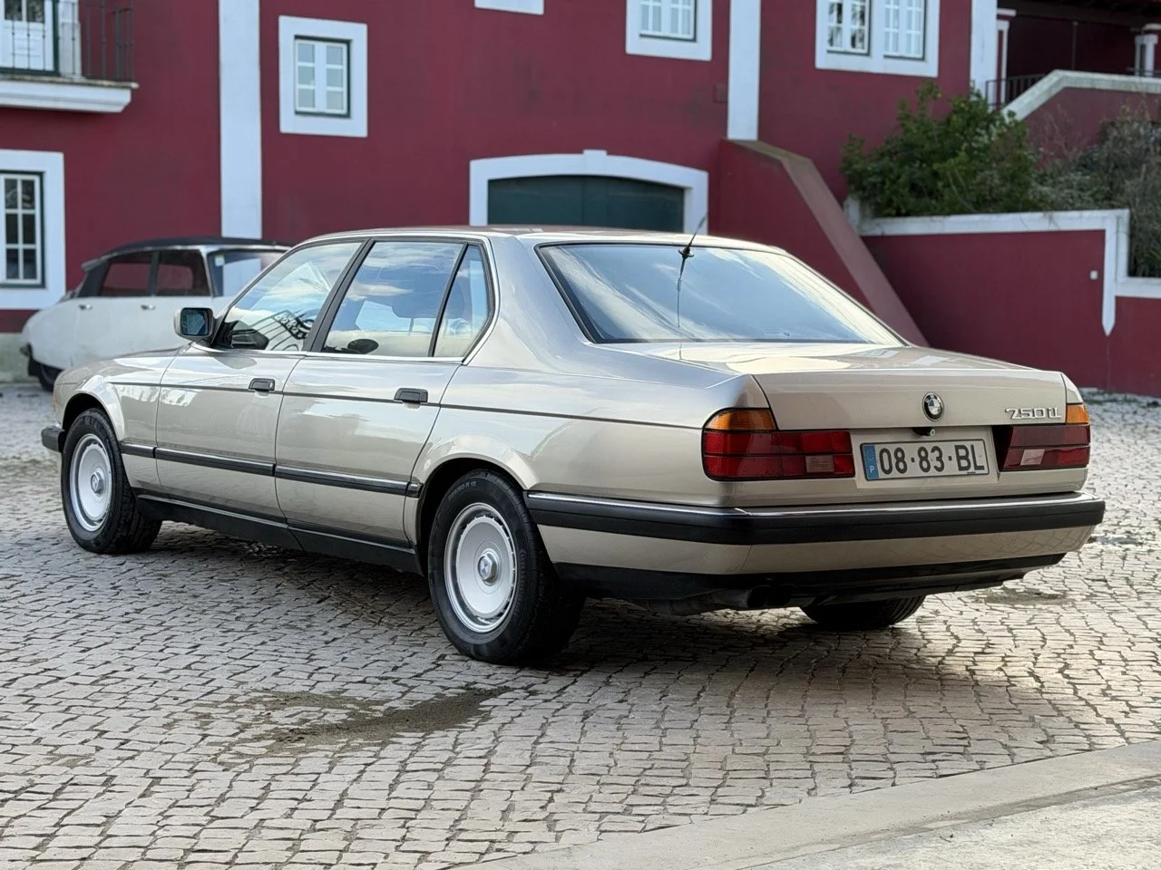 IMG_6881 2 – grande.jpeg