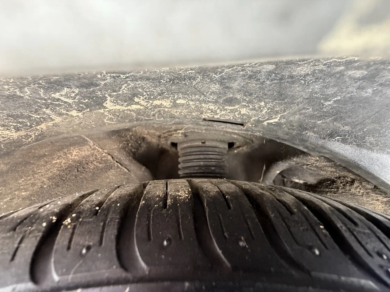 IMG_2616 – grande.jpeg