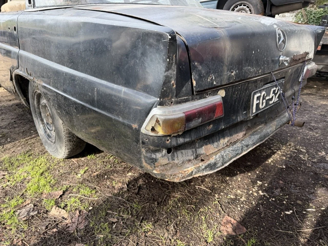 IMG_5234 – grande.jpeg