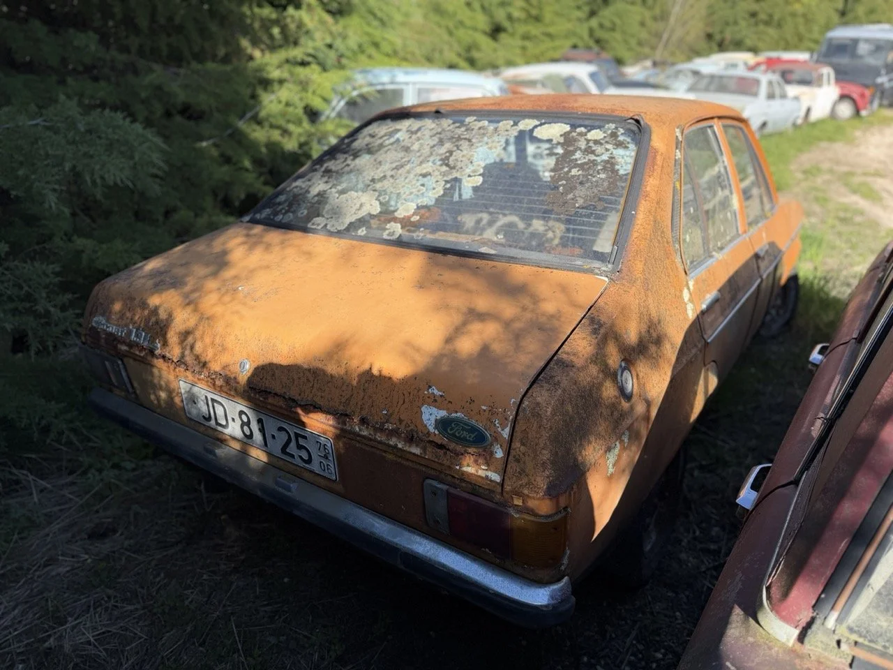 IMG_7696 – grande.jpeg