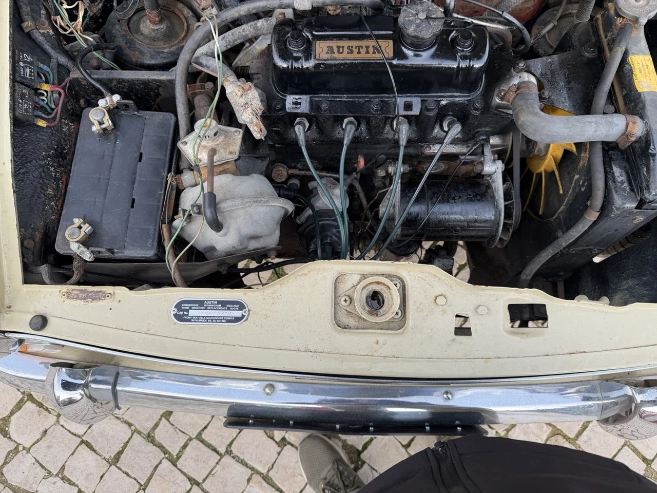 IMG_4072 – grande.jpeg